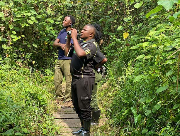 BIRD WATCHING | GAME DRIVES