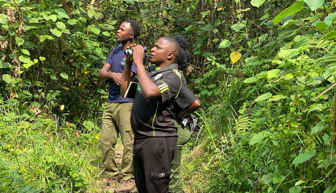 5-Day Safari to Western Uganda: A Journey Through Nature, Wildlife, and Culture